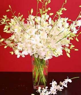 White orchids vase arrangement